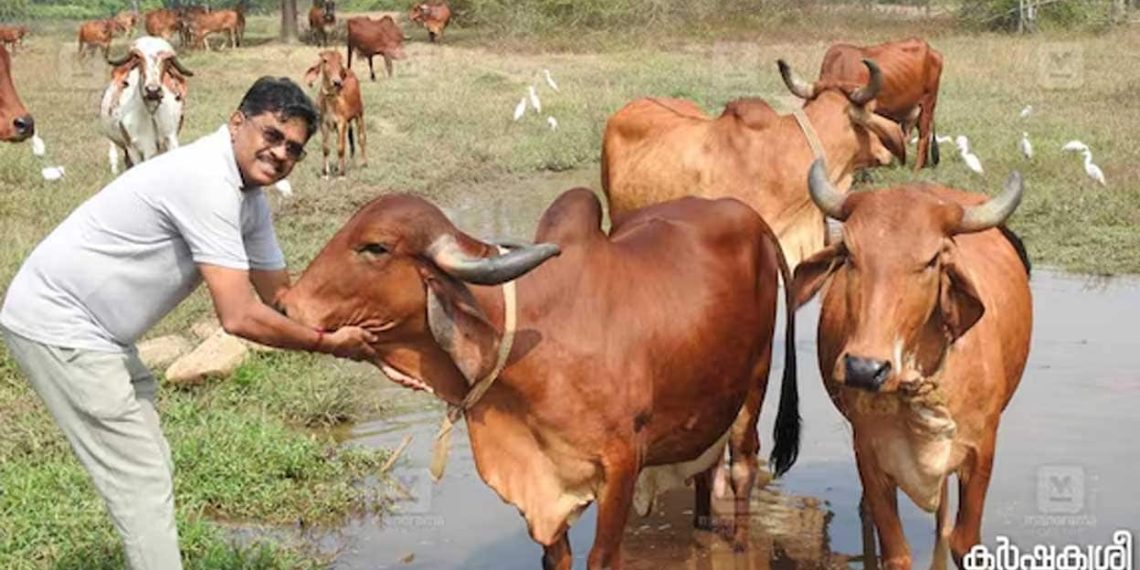 130 gir cows & 9000 rupee ghee: A conventional farming success story | Way of life Information