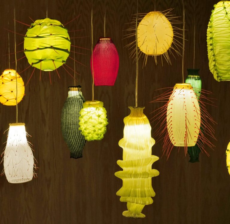 In “Kauani”, the indigenous Mexican flora blooms in vivid – colossal lanterns