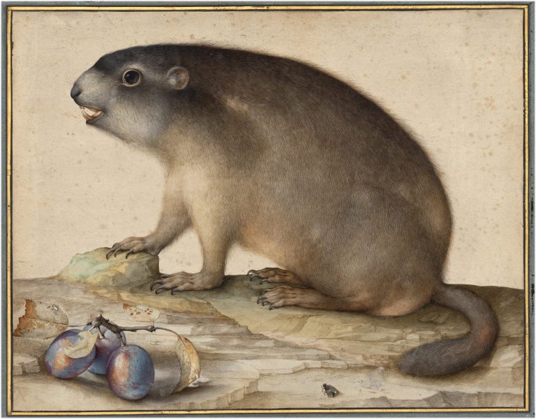 “Little Beasts” is a primary collaboration of the museum as effectively, which is revealed in artwork and the natural-colossal world