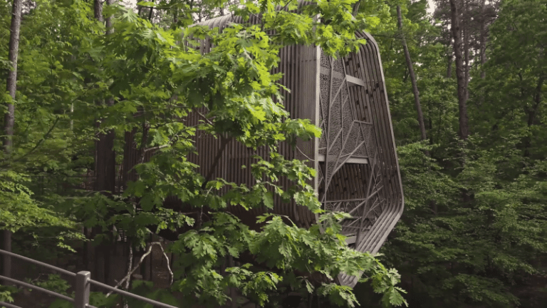 Guests Commit with the forest cover in a four-story tree home in Arkansas-Colossal
