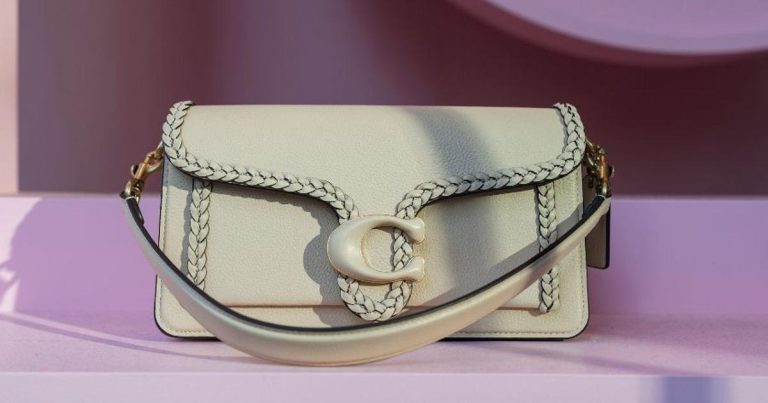 Coach’s AI-powered purses take a swing at a vogue revolution | Information