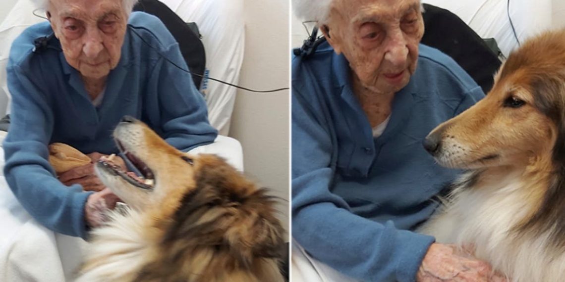 Intestine well being research of world’s oldest particular person reveals way of life key to longevity