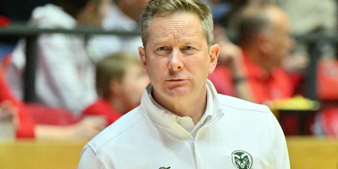 Minnesota Hires Niko Medved: Colorado State Coach returns house to Minneapolis following the success of Mountain West