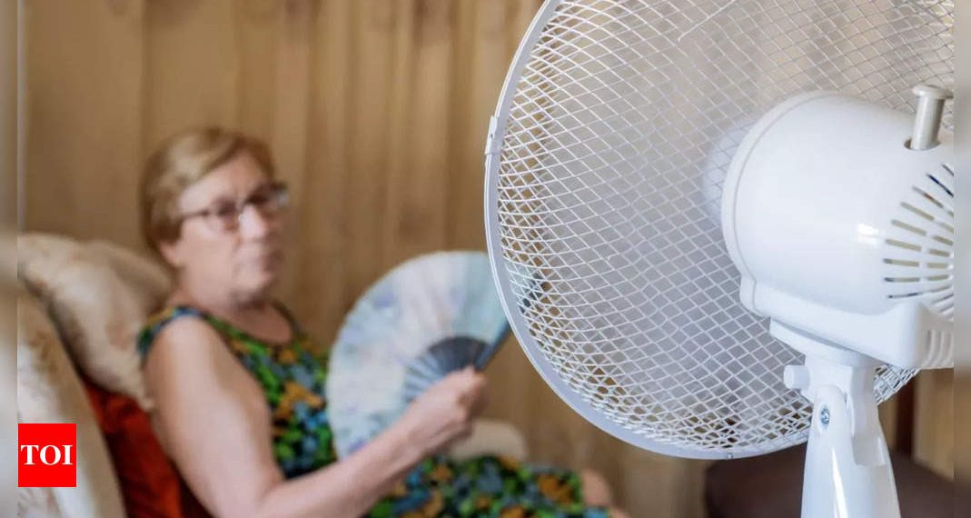 Excessive warmth can speed up growing older: Analysis