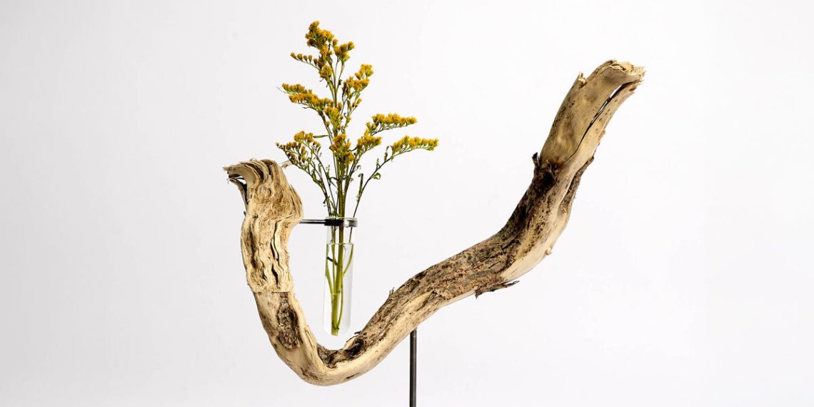 Hector Serrano rests his roots in sculptural flowers vases