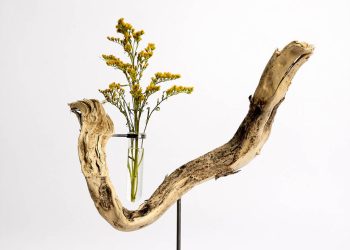 Hector Serrano rests his roots in sculptural flowers vases