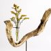 Hector Serrano rests his roots in sculptural flowers vases