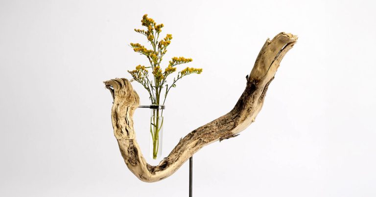 Hector Serrano rests his roots in sculptural flowers vases