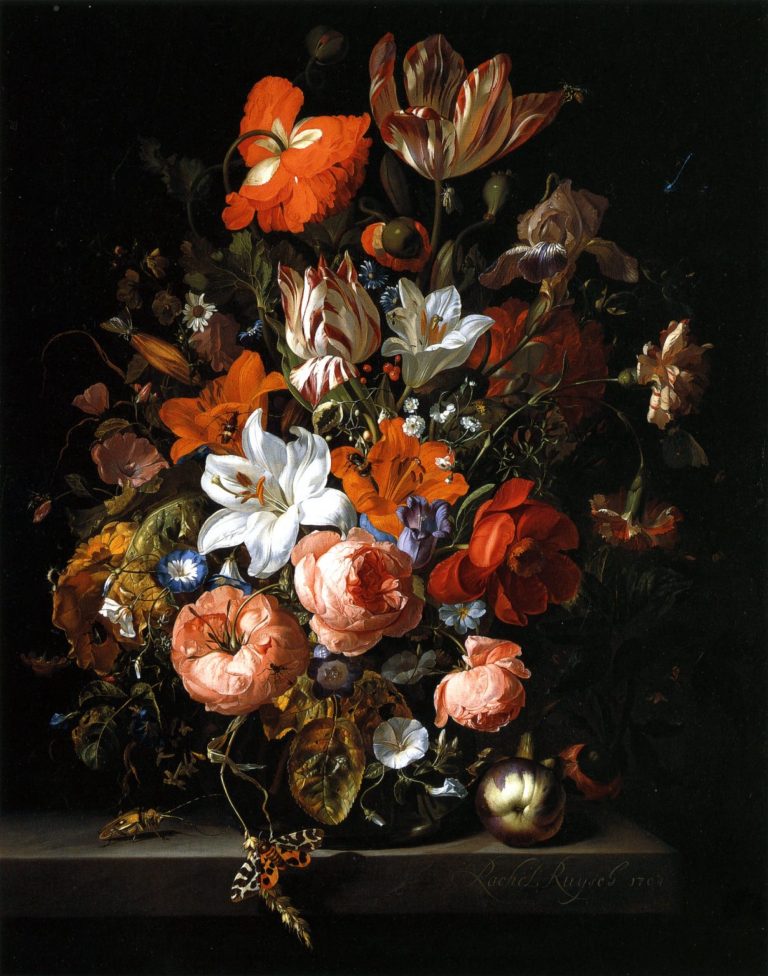 Rachel Ruysch, Dutch painter Dutch, Rachel Ruysch receives her first main ballot within the US – Colossal