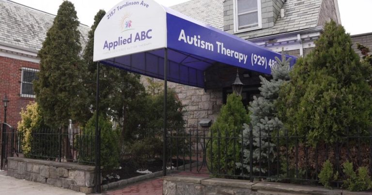 Proposed Medicaid cuts in New York would damage autism providers for youngsters, well being care facilities say