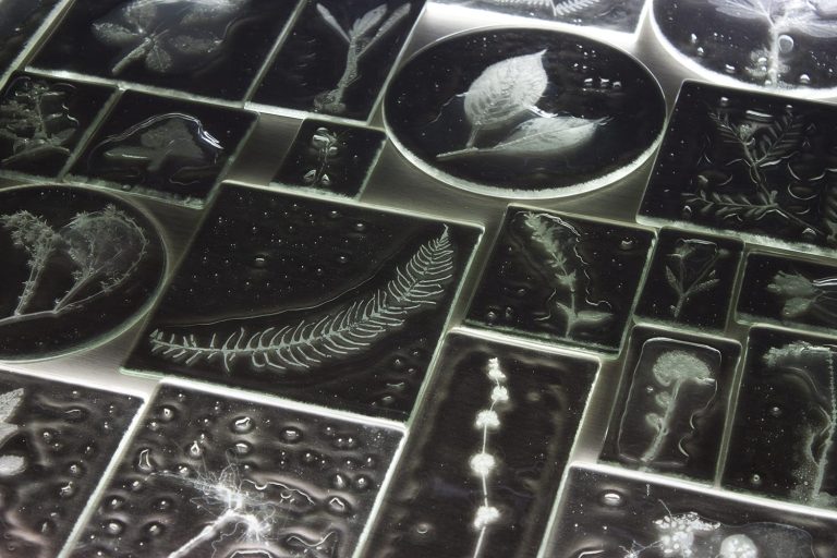 Rui Sasaki incorporates spectral flowers into intimate glass assemblies – Colossal