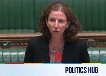 Politics political information