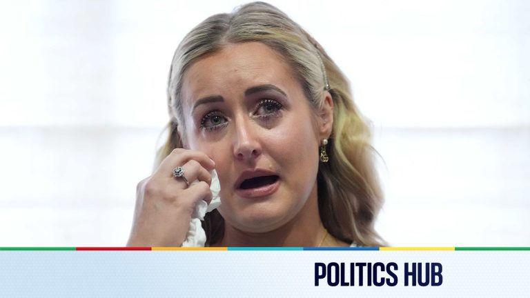 Politics political information