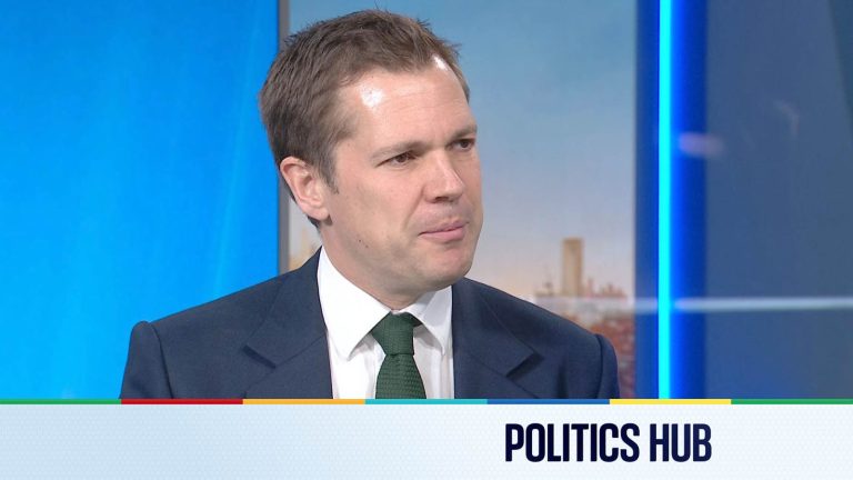 Politics political information