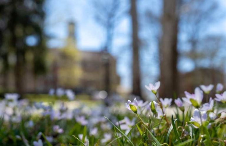 The U.S. State Division Points Journey Advisories Forward of Ohio Faculties’ Spring Break 2025