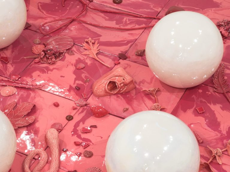 From porcelain butter to bruises, Jessica Stoller examines the physique of the Genus – Colossal