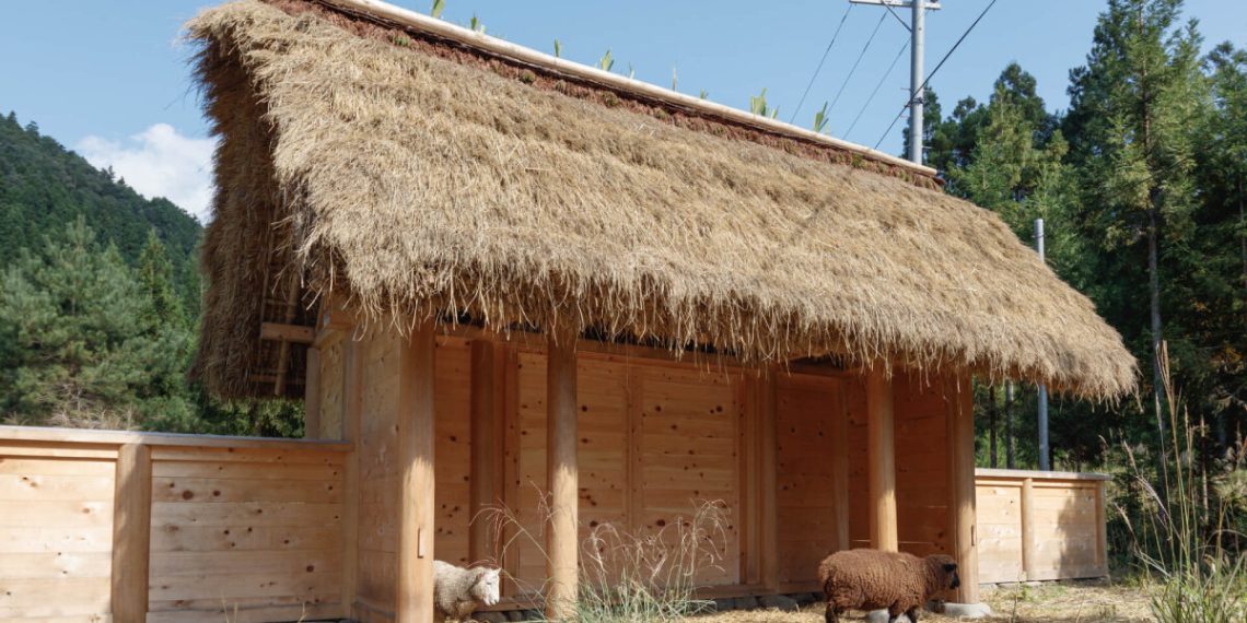 Studio 2m26 Types of wood sheep home of kyoto with rice straw