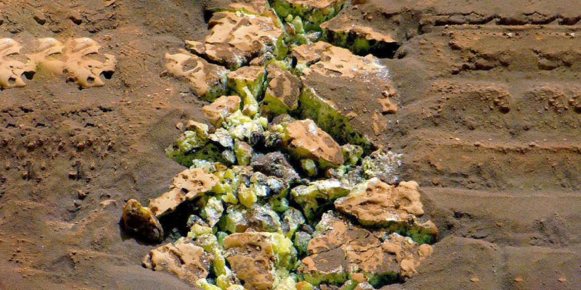 Curiosity rover makes unbelievable discovery that hints at life on Mars