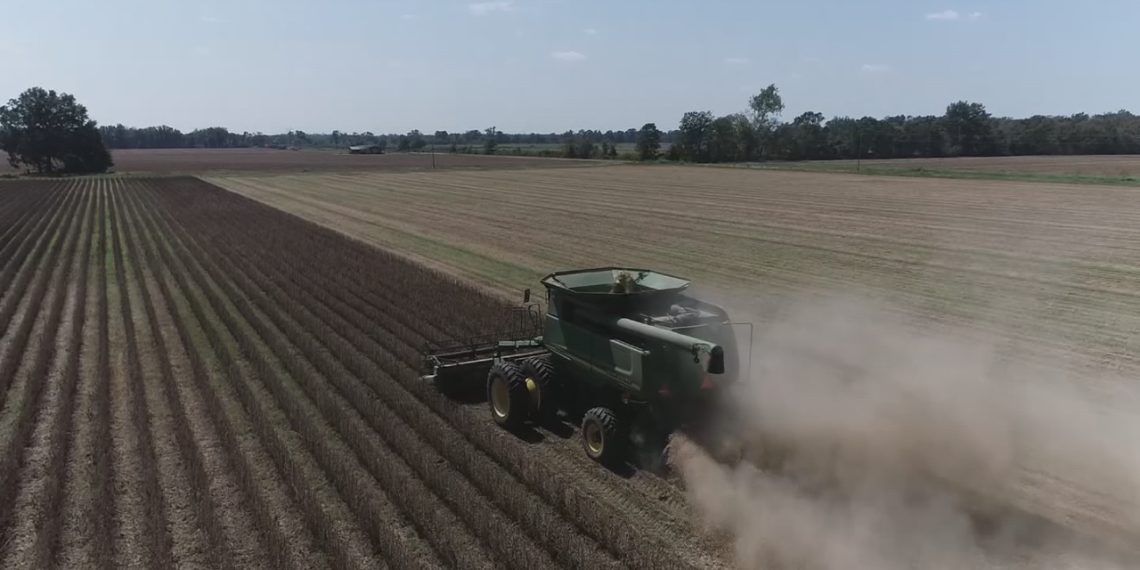 How federal price range cuts impression native farmers, faculties, and meals banks