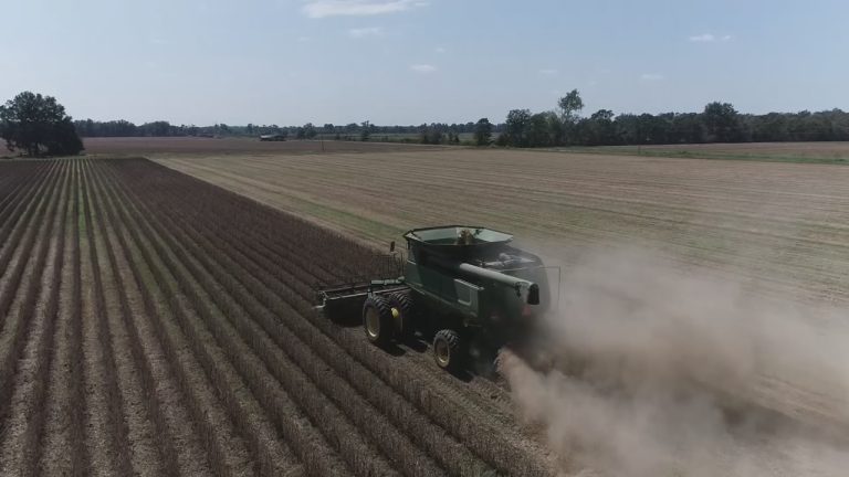 How federal price range cuts impression native farmers, faculties, and meals banks