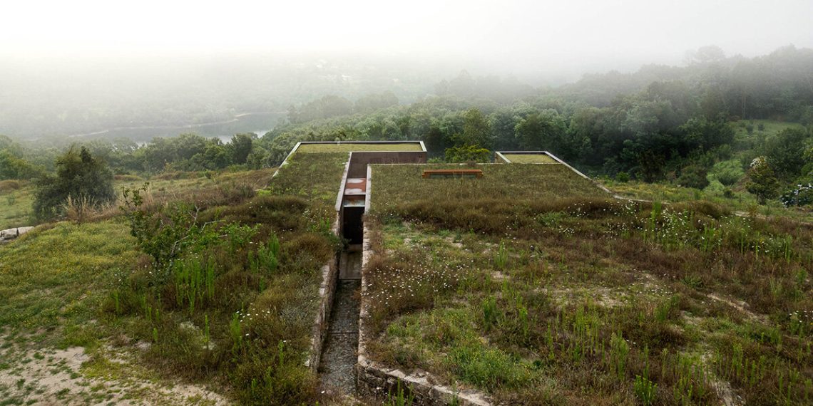 a home with cork facade and disguised inexperienced roof