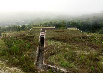 a home with cork facade and disguised inexperienced roof