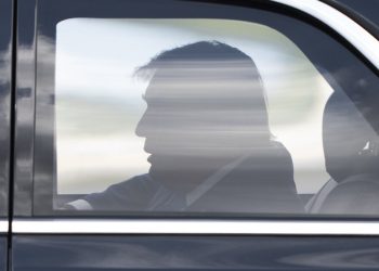 Trump Mulls Army Drive to accumulate Greenland for “worldwide safety”