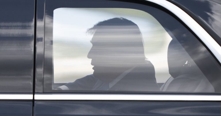 Trump Mulls Army Drive to accumulate Greenland for “worldwide safety”