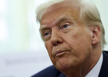 In an effort to chop the federal government, Trump goals to common and homeless companies