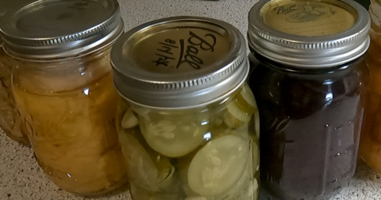 Can preserving meals protect your pockets?