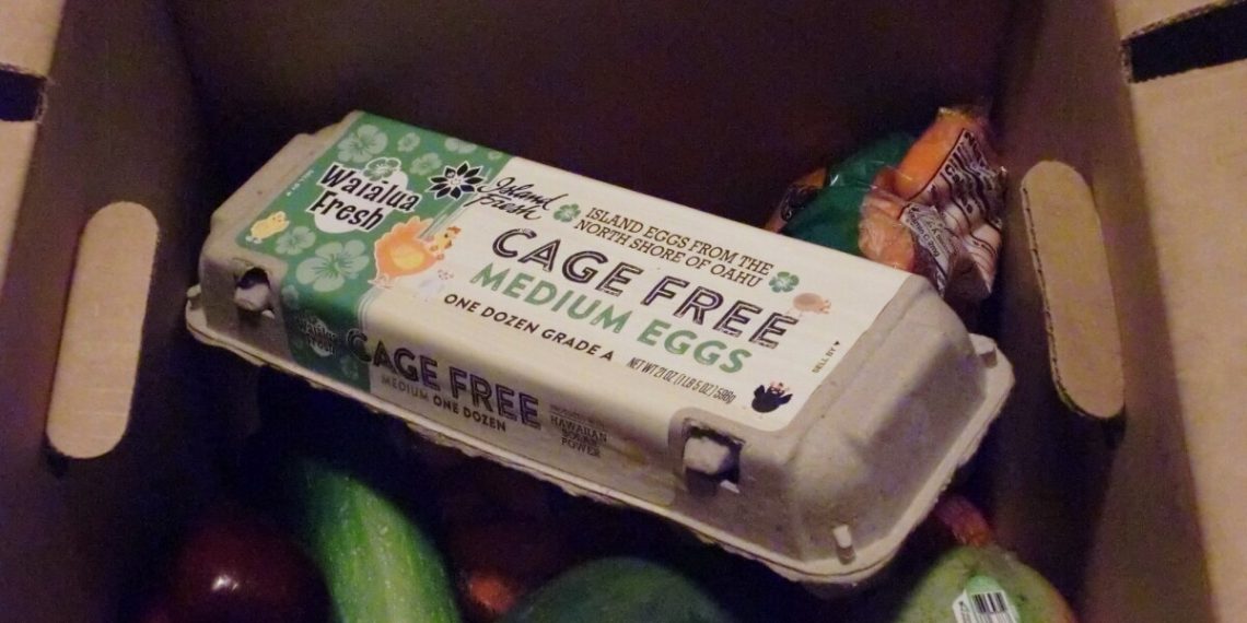 Farm to Households payments may assist meals banks with emergencies, federal cuts