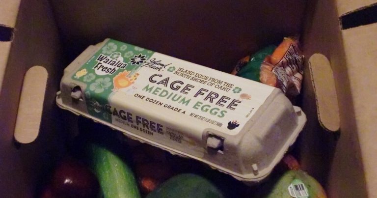 Farm to Households payments may assist meals banks with emergencies, federal cuts