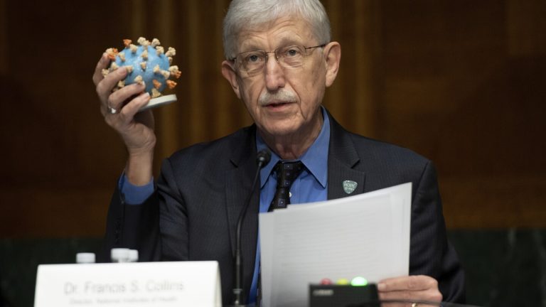 Famend geneticist Francis Collins retires from Nationwide Institutes of Well being