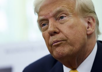 In an effort to chop the federal government, Trump goals to common and homeless businesses