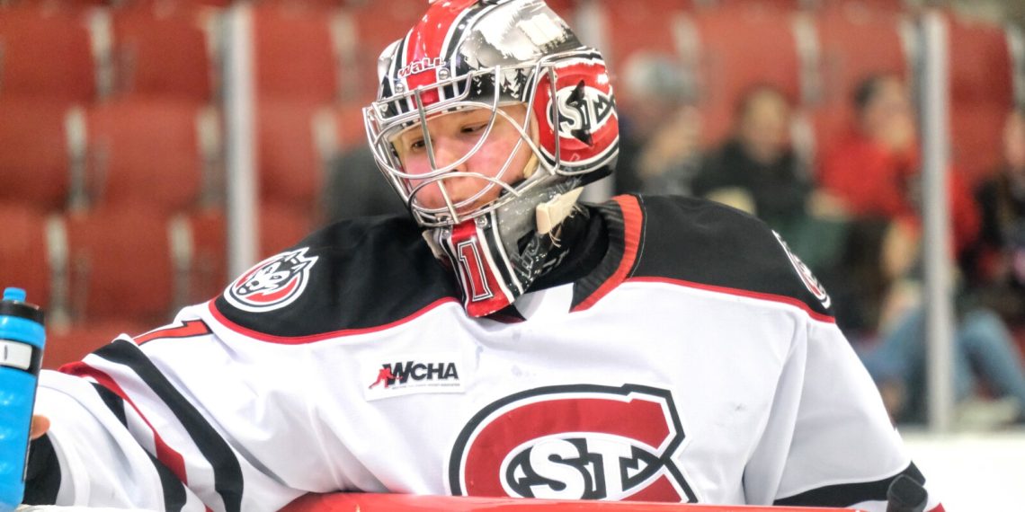 2 SCSU porters wins Wchaa honors