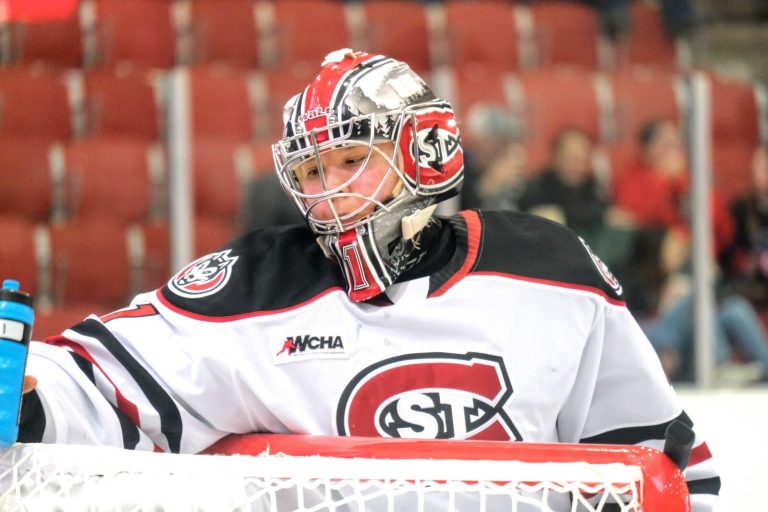 2 SCSU porters wins Wchaa honors