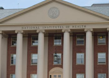 Blood take a look at for ovarian most cancers misses some Black, Native American sufferers: Examine