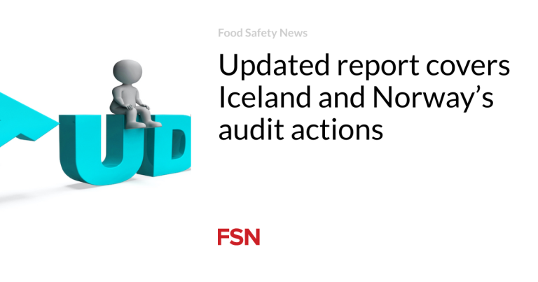 Up to date report covers Iceland and Norway’s audit actions