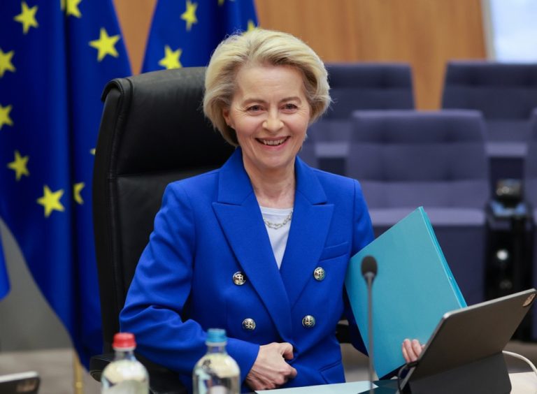 Von Leyen expresses shy assist for the Eurostack Tech Soverety undertaking