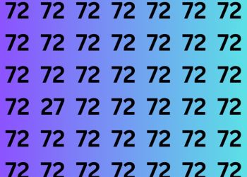 Can You Discover The Odd Quantity Underneath eight Seconds?