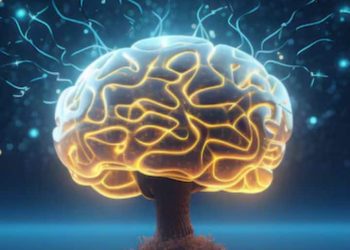 10 Each day Habits To Enhance Reminiscence And Enhance Mind Energy