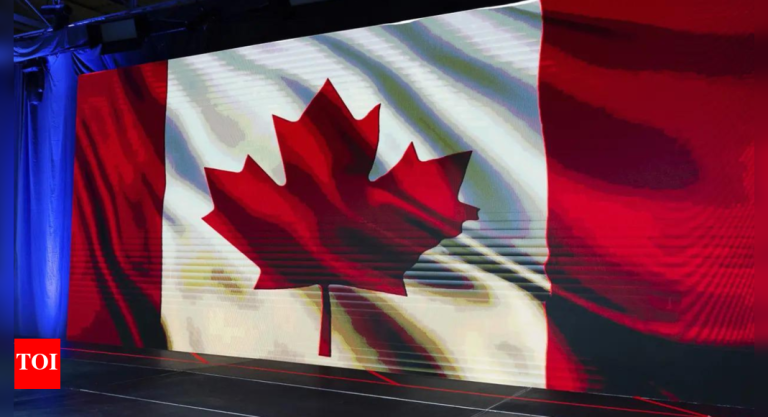 US Canada Journey Advisory: Canada updates US journey advisory once more: Anticipate scrutiny, telephones could be checked