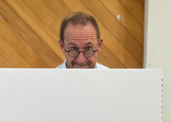Former job chief Andrew Little to enter energetic politics, eyes posting the Mayor of Wellington
