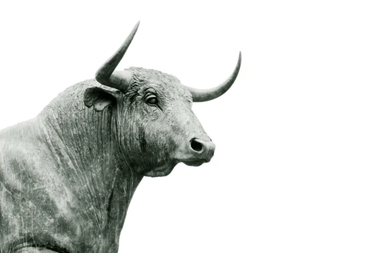 Anticipation and Uncertainty within the International IPO Market