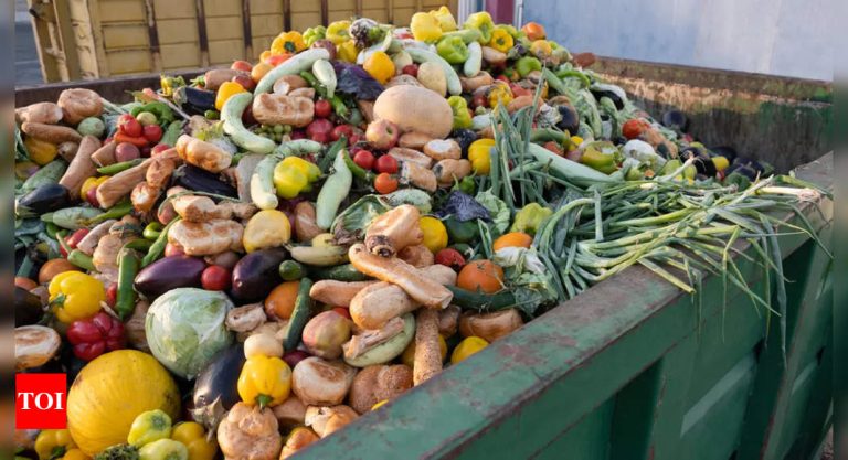 300 kg rotten meals saved in rest room and cockroach-infested kitchen resulted within the shutting of this restaurant