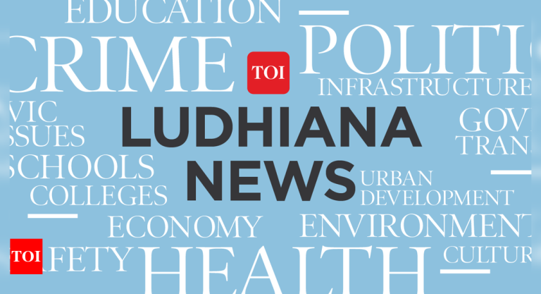 Journey brokers booked for duping seven in visa rip-off | Ludhiana Information