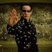 “Impressed” by the mouse viewing clips in “The Matrix”, scientists create the biggest useful map of a mind
