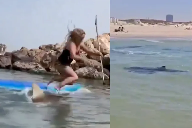 Shark assault leaves lady preventing for her life in breathtaking video at an Israel seaside – Marca.com