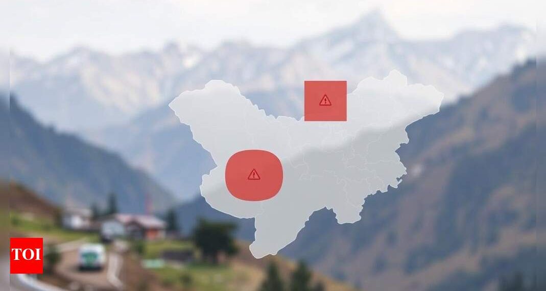 US updates journey advisory after Pahalgam terror assault | World Information