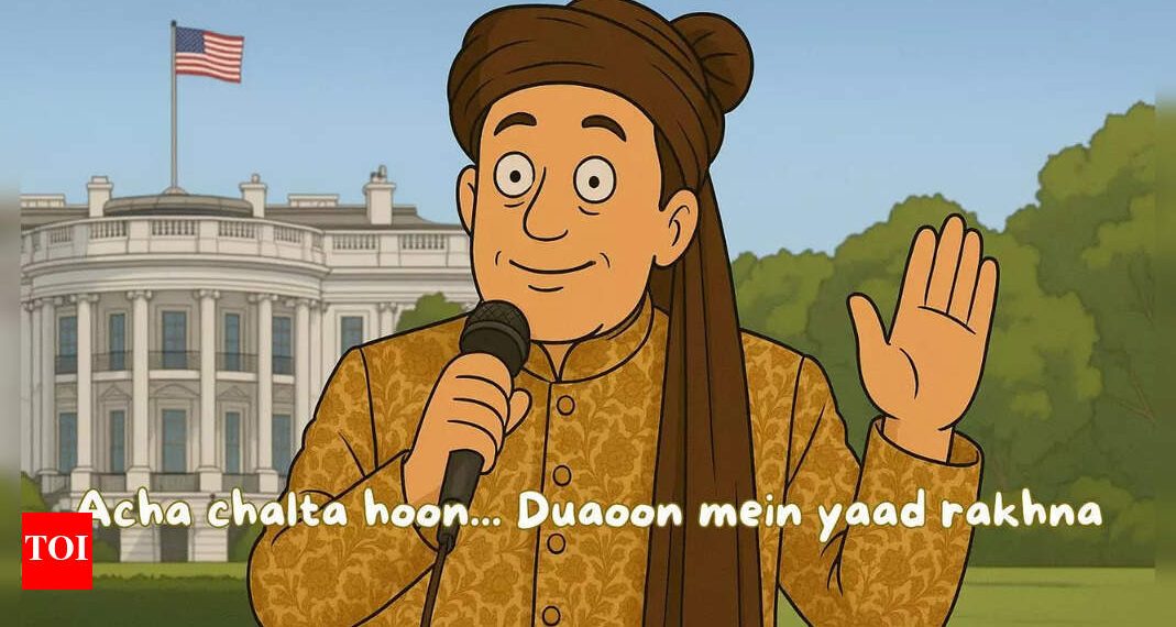 DOGE DAY Over: Why Elon Musk is a quartz rectangle from politics | World information